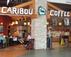 caribou coffee coupons