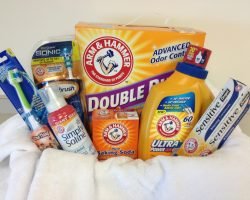 arm & hammer coupons