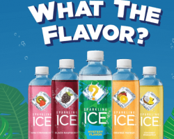 Sparkling Ice what the Flavor Sweepstakes (over 500 winners)
