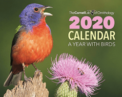 Free 2020 Cornell Lab A Year with Birds Calendar