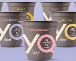 Free YQ Yogurt at Meijer
