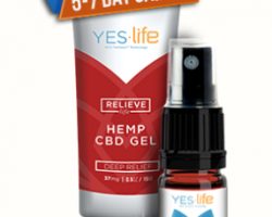 Free Yes.Life CBD Oil & Hemp CBD Pain Relief Cream Samples