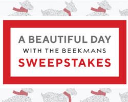 QVC A Beautiful Day With The Beekmans Sweepstakes