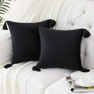 CAROMIO Velvet Soft Throw Pillow Cover- Minimalistic Style