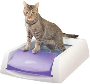 PetSafe Cat Litter Boxes