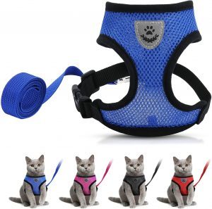 DAYFULI Cat Harness and Leash Set