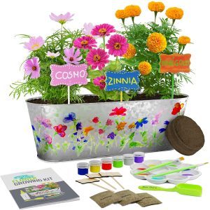 Dan&Darci Paint & Plant Flower Growing Kit