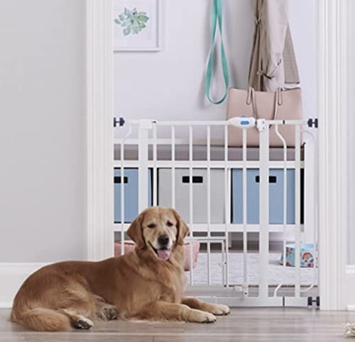 Carlson Extra Wide Walk Through Pet Gate