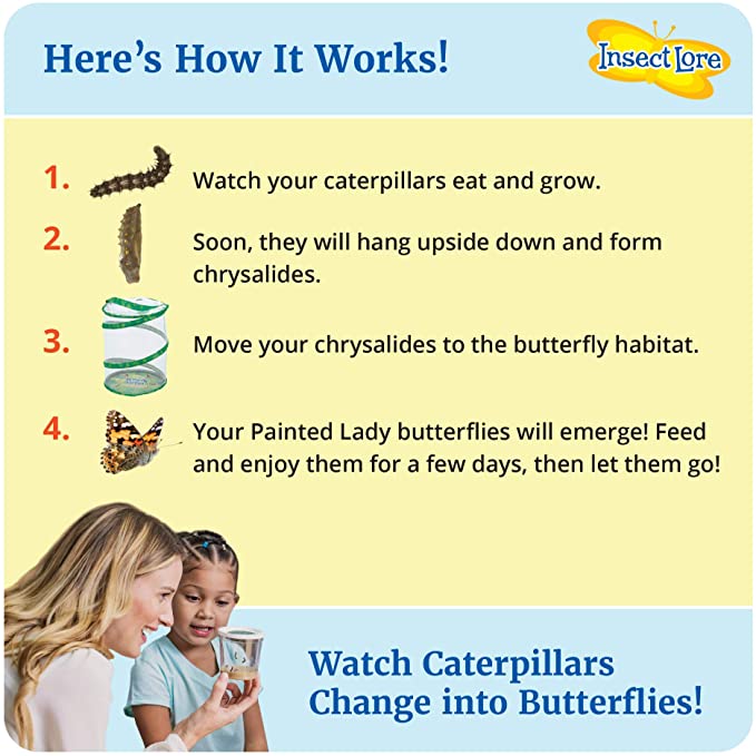 Butterfly Science Kit