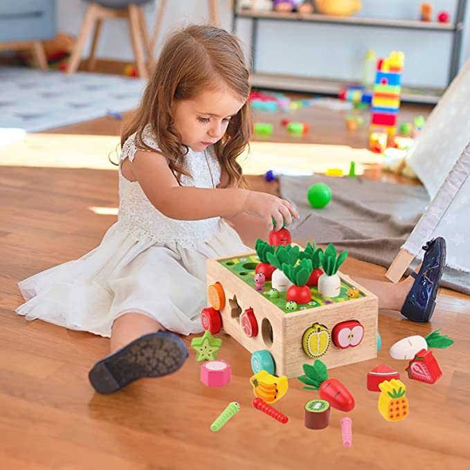 Montessori Shape Sorting Toys