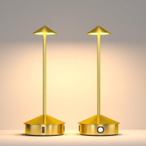 Cordless Table Lamps Set of 2