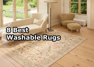 8 Best Washable Rugs