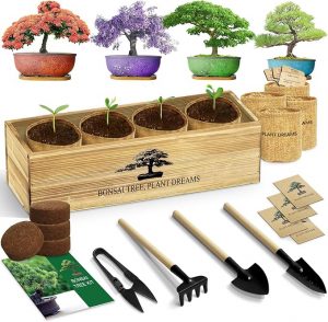 Bonsai Tree Kit, Complete Bonzai Tree Starter Kits with Tools, Valentines Day Gifts for Her Him, Unique Christmas Birthday Gardening Gifts for Women Mom Men Grandkids, Crafts Hobby Kits