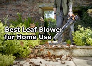 Best Leaf Blower for Home Use