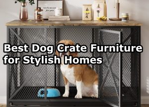 Best Dog Crate Furniture for Stylish Homes