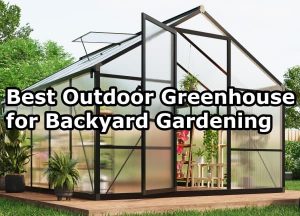 Best Outdoor Greenhouse for Backyard Gardening