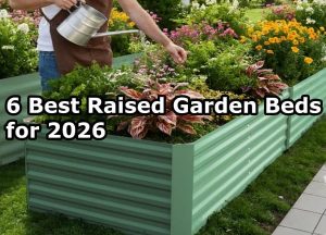 6 Best Raised Garden Beds for 2026