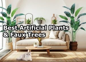 Best Artificial Plants & Faux Trees