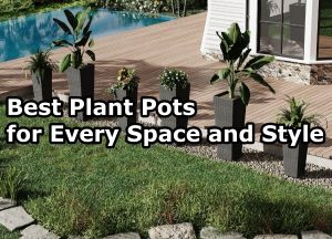 Best Plant Pots for Every Space and Style