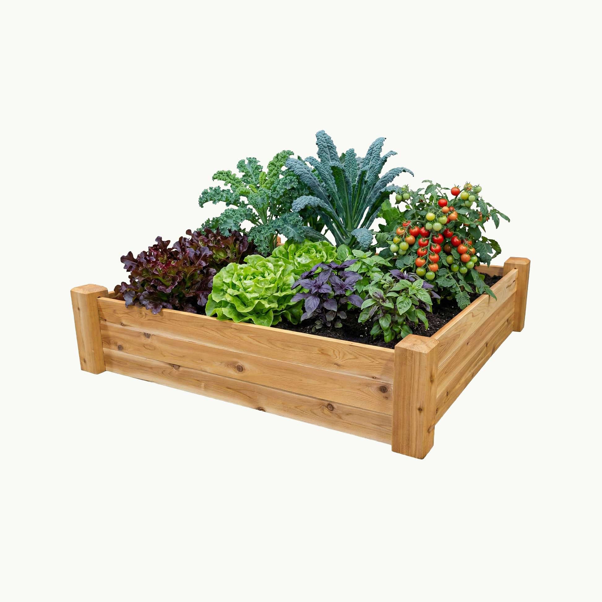 Gronomics Cedar Raised Garden Bed 