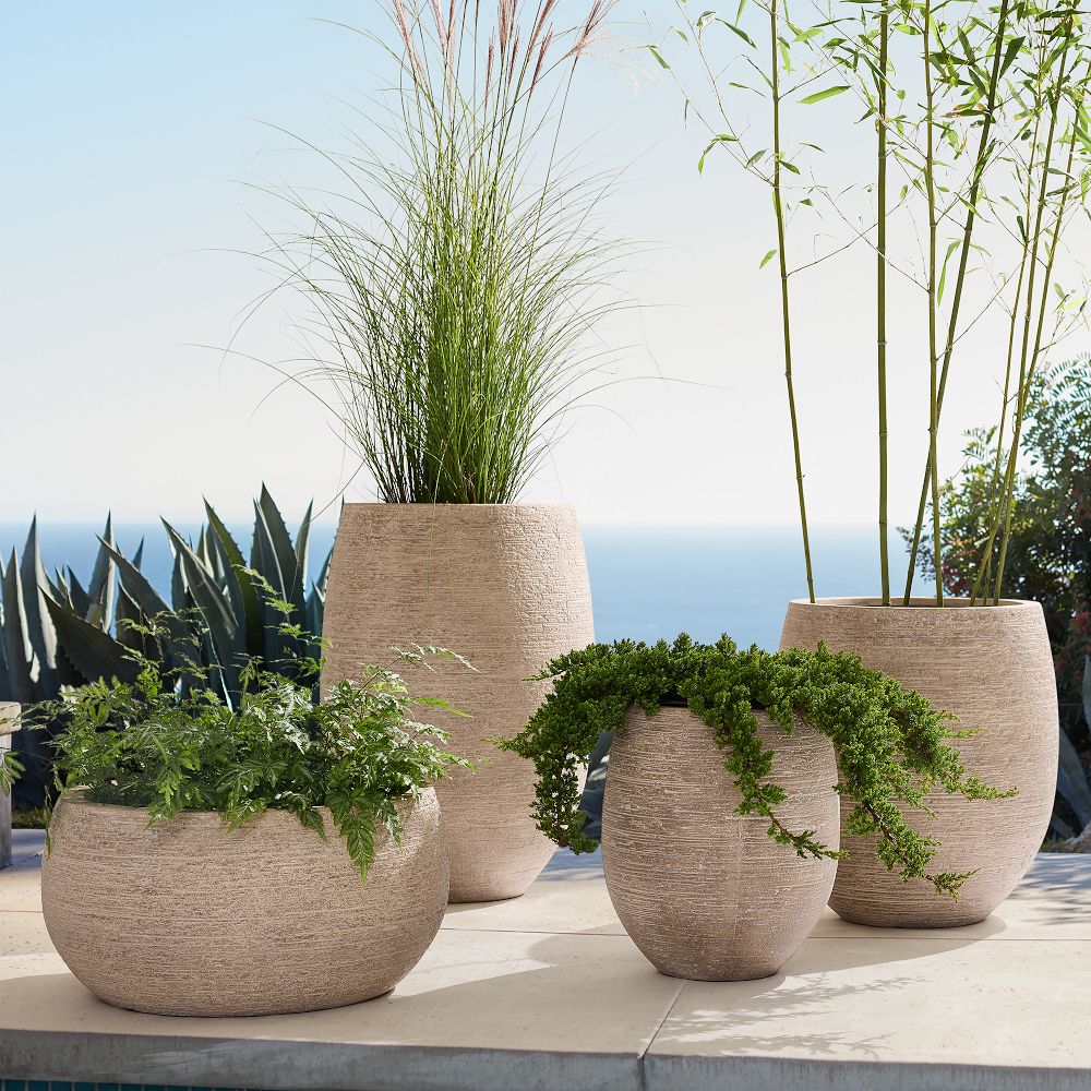 West Elm Curved Ficonstone Planter