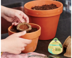 Free Miracle-Gro Groables 30-Pod Kit – Working Again