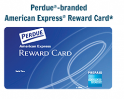 Free $10 Perdue American Express Card