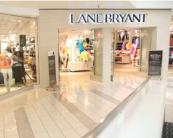 $10 Off Any $10 In-Store Purchase at Lane Bryant. Free Items!