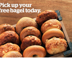 Free Bagel or Coffee Every Day in May At Panera Bread – Rewards Members