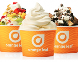 Orange Leaf Frozen Yogurt – Free Cup of Frozen Yogurt with Toppings