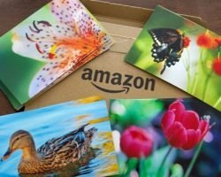 Amazon – 50 Free Photo Prints (4×6) For Prime Members
