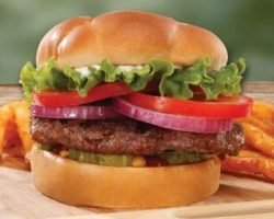 Free Back Yard Classic Burger Now & On Your Birthday
