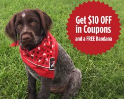 Free Dog Bandana & $10 In Savings From Nulo
