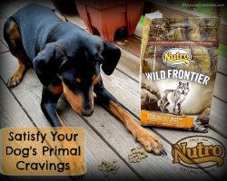 Petco – Free 4 Pound bag Of Wild Frontier Dog Food