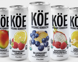 Free Can Of Koe Organic Kumbucha
