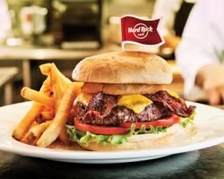 Free Meal At Hard Rock Cafe For Leap Year Babies
