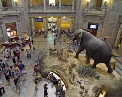 2 Free Museum Tickets On Museum Day (September-22)