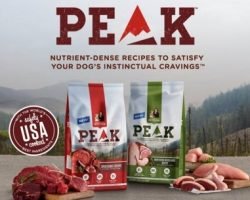 Rachael Ray – New Samples Of Cat & Dog Food