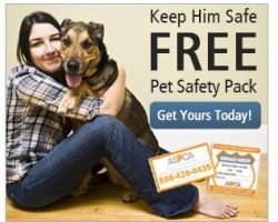 Free Pet Safety Pack From ASPCA