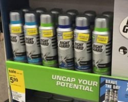 Free Right Guard Dry Spray Antiperspirant After Rebate