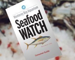 Free Seafood Watch Consumer Guides