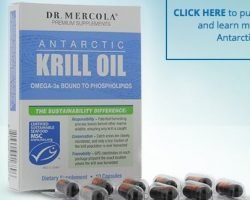 Omega-3 Krill Oil Samples From DR. Mercola