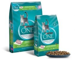Free Bag Of Purina One (Full Size Sample)