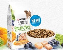 Free Purina Beneful Dog Food + Coupon