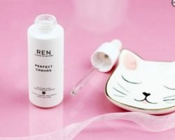 Free Ren Skincare Perfect Canvas Product
